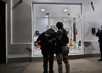 Referente narco