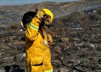 Facebook julian guzman