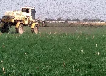 Whatsapp image 2020 08 19 at 9.57.36 am