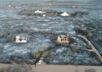 Lucio casalla el doce