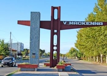 Vicuña mackenna