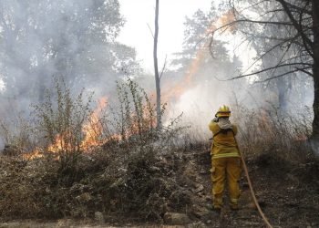 Bomberos