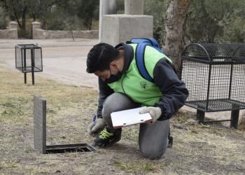 Prensa municipalidad