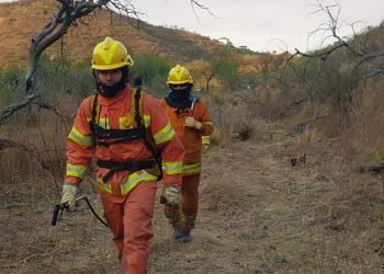 Bombeross