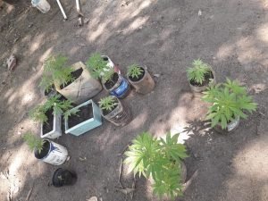 Whatsapp image 2020 10 29 at 8.37.45 am (2)