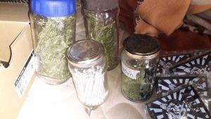 Whatsapp image 2020 10 29 at 8.37.45 am