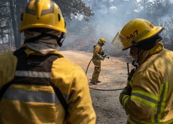 Bomberos