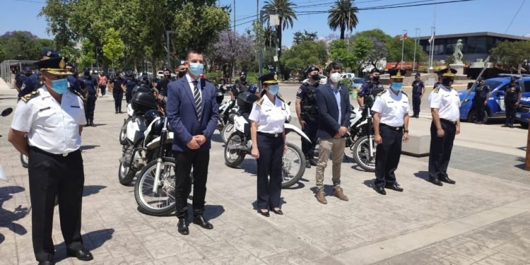 Whatsapp image 2020 11 20 at 1.08.09 pm