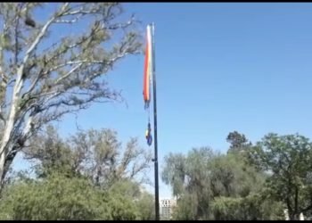 Whatsapp image 2020 11 20 at 11.06.44 am