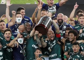 Palmeiras campeon