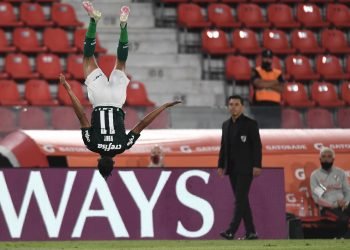 Palmeiras y una noche soñada