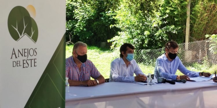 Whatsapp image 2021 01 07 at 11.24.20 am