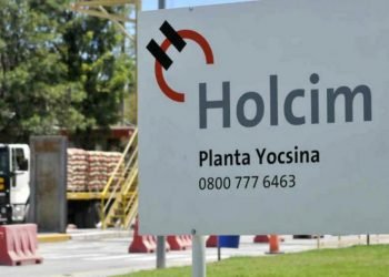 Planta yocsina