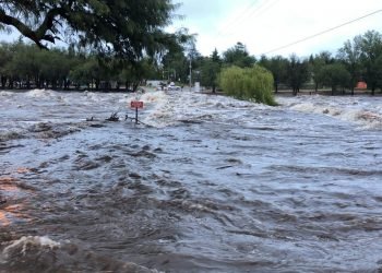 Whatsapp image 2021 03 16 at 9.08.59 am