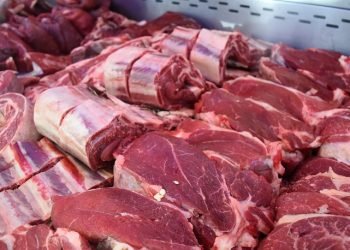 Carne