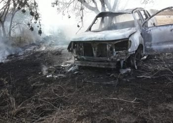 Whatsapp image 2020 06 05 at 14.16.21 1 1