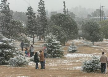 Nieve4 2