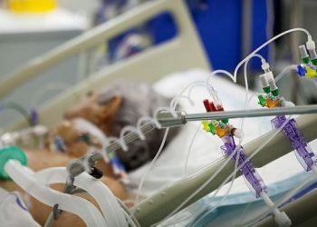 111444769 gettyimages 481684769