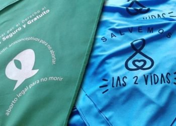 Aborto legal y provida