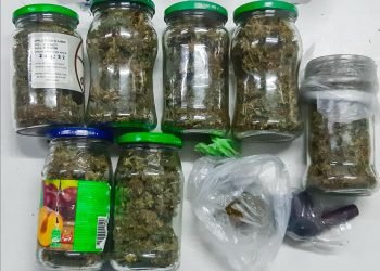 Whatsapp image 2021 05 31 at 12.06.12 pm (1)