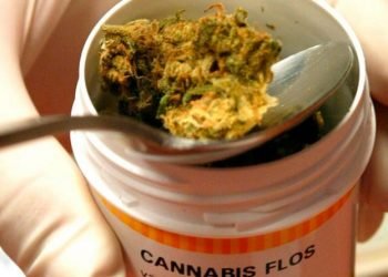 Cordoba adhirio uso cannabis medicinal legisladores 0