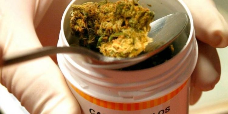 Cordoba adhirio uso cannabis medicinal legisladores 0