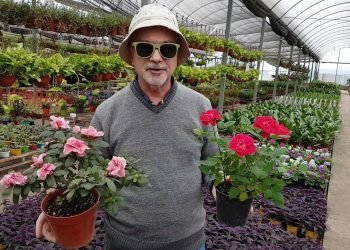 E3c8f683bab926eaf0af62c47b72aa82