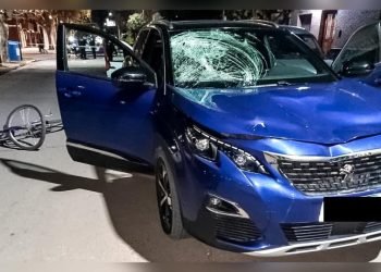 204815906 1441845149507726 2188517670577432153 n