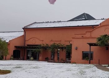 Whatsapp image 2021 06 29 at 10.03.36 am (1)