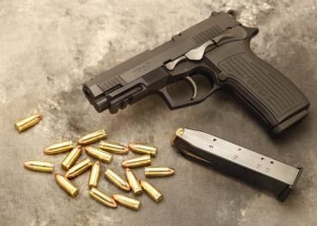 Bersa tpr9 520