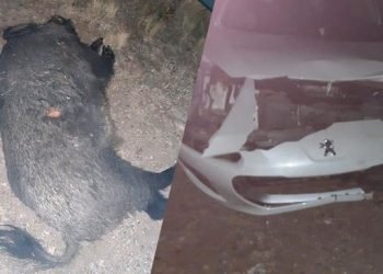 Whatsapp image 2021 07 29 at 9.04.49 am