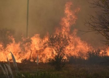 Incendio cordoba sierras fuego bomberos (12)