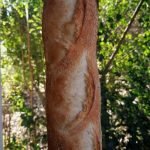 228391494 184059570452241 8951048962291183854 n