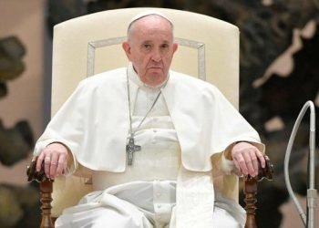 Papa francisco audienciajpg
