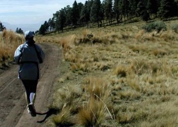 Trail running 2 1255582