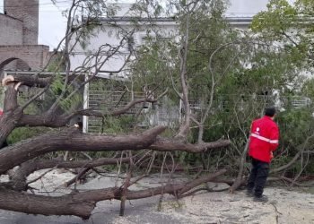 497016c7 a92d 42fe 85fc cc00618e5bde