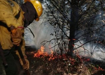 El bolson incendiosjpg
