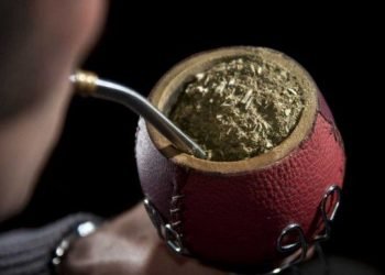 Yerba mate