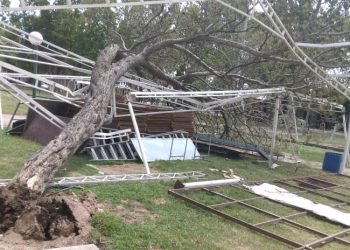 Whatsapp image 2021 12 29 at 8.32.32 am (1)