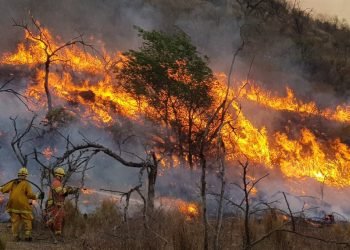 Alertas por incendios en córdoba
