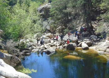 5qbjjl2i7zckjhsrbtibx43uha