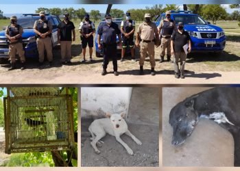 Allanamiento en san alberto