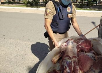 Dos personas detendidas por transportar carne faenada
