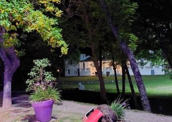 Vandalismo en el mobiliario urbano de Agua de Oro