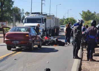 Whatsapp image 2022 03 31 at 4.20.02 pm