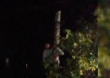 Xgbxldowy5cfhpaj3m7pmxlysq