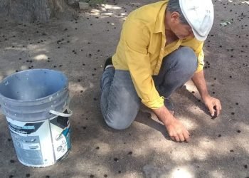 Kdslnbe6fva7zo3lc4er6hpel4