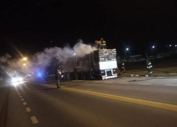 Se incendió un camión cargado de carbón sobre la ruta 9
