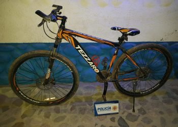 Detuvieron a una persona que había sustraido una bicicleta y un pitbull