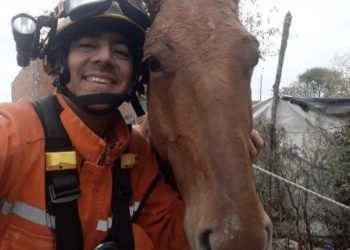 Ed5ade6c 491f 4567 acfa f9ed4c4c2b8f